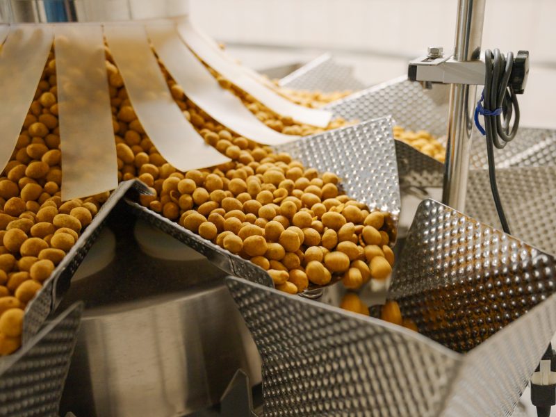 ZMFOOD Gamyba 8 copy1 scaled